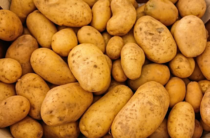 Biohotel Lindengut Hofverkauf Demeter Kartoffeln