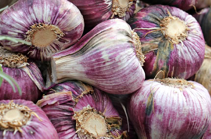 Biohotel Lindengut Hofverkauf Demeter Knoblauch
