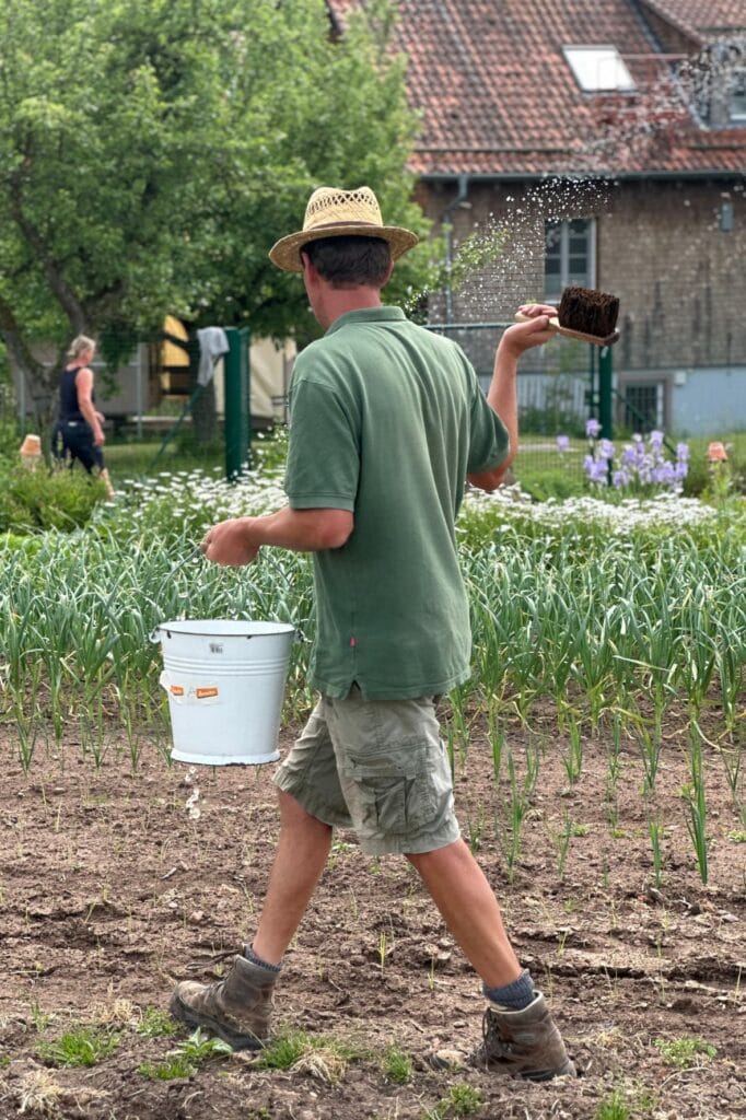 Das Gartenteam beim Ausbringen des Fladenpräparates mit dem Handbesen